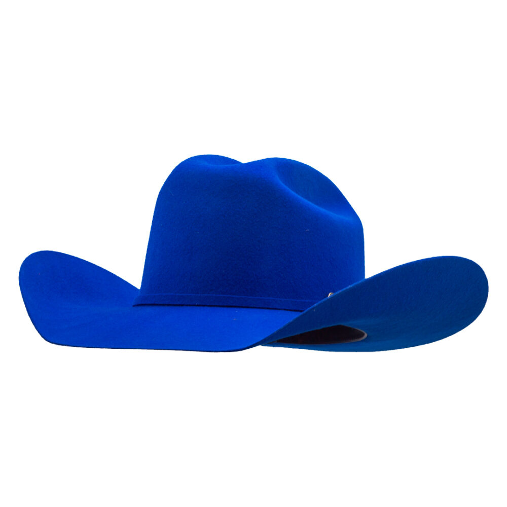 TEXAS BLUE - Image 2